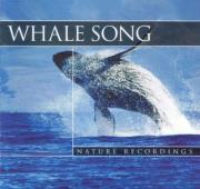 Opakowanie Whale Song - Wieloryby CD