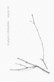 Okładka książki Więcej nic