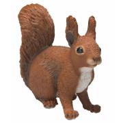 Opakowanie Wiewiórka