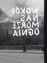 Wokół nas morze ognia. Autor: Engelking Barbara, Schnepf-Kołacz Zuzanna. Dadada.pl Okładka książki Wokół nas morze ognia