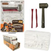 Opakowanie Wykopaliska paleontolog dinozaur