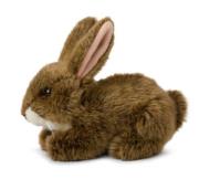 Opakowanie Zając brązowy 15cm WWF