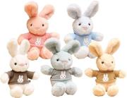 Opakowanie Zając w bluzce 30cm MIX