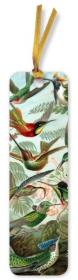 Opakowanie Zakładka do książki Kolibry Ernst Haeckel FT BKMK82