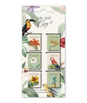 Opakowanie Zakładki Magnetyczne - Jaki jest Bóg - Ptaki