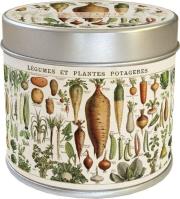 Opakowanie Zapachowa świeczka 281 warzywa zapach pomarańczowy