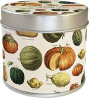 Zapachowa świeczka dynie - zapach pomarańcz. Wydawca: Skona Ting. Dadada.pl Opakowanie Zapachowa świeczka dynie - zapach pomarańcz