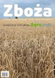 Zboża. Autor:   Praca zbiorowa. Dadada.pl Okładka książki Zboża