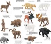 Opakowanie Zestaw dzikich zwierząt ameryki północnej