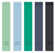 Opakowanie Zestaw gum oporowych 5szt