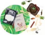 Opakowanie Zestaw sensoryczny Dinozaury tacka z figurkami