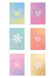 Opakowanie Zeszyt A4/40K kratka Pastel (10szt) MAR MAR