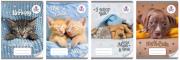 Opakowanie Zeszyt A5/16K kolor 3-linie The sweet pets (20szt)