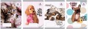 Opakowanie Zeszyt A5/16K kratka The sweet pets (20szt)