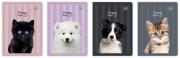 Zeszyt A5/32K 3kol linia 70g UV Puppy Sign (10szt). Wydawca: INTERDRUK. Dadada.pl Opakowanie Zeszyt A5/32K 3kol linia 70g UV Puppy Sign (10szt)