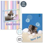 Opakowanie Zeszyt A5/32K kratka 90g BF Cats (10szt)