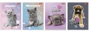 Zeszyt A5/32K linia 2kol My little friend (15szt). Wydawca: UNIPAP. Dadada.pl Opakowanie Zeszyt A5/32K linia 2kol My little friend (15szt)