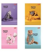 Opakowanie Zeszyt A5/32k linia kolorowa Pawsitive (15szt)