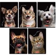 Opakowanie Zeszyt A5/60K kratka z marginesem Animals (10szt)