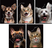 Opakowanie Zeszyt A5/80K kratka z marginesem Animal