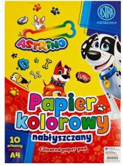 Opakowanie Zeszyt papierów kolorowych nabłyszczanych (10szt)