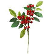 Zimowa gałązka z jagodami. Wydawca: ARPEX. Dadada.pl Opakowanie Zimowa gałązka z jagodami