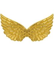 Opakowanie Złote skrzydła