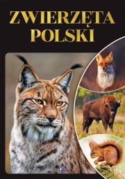 Zwierzęta Polski. Autor: Opracowanie zbiorowe. Dadada.pl Okładka książki Zwierzęta Polski