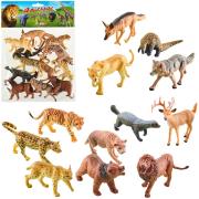 Opakowanie Zwierzęta zoo