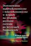 Okładka książki Dostosowania makroekonomiczne i mikroekonomiczne w krajach na średnim poziomie rozwoju po kryzysach