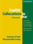English Collocations in Use Advanced. Autor: O'Dell Felicity, McCarthy Michael. Dadada.pl Okładka książki English Collocations in Use Advanced