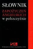 Słownik zapożyczeń angielskich w polszczyźnie. Wydawca: Wydawnictwo Naukowe PWN. Dadada.pl Opakowanie Słownik zapożyczeń angielskich w polszczyźnie