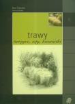 Trawy Turzyce sity kosmatki. Autor: Grabowska Beata, Kubala Tomasz. Dadada.pl Okładka książki Trawy Turzyce sity kosmatki