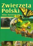 Zwierzęta Polski Atlas ilustrowany. Autor: Kokurewicz Dorota. Dadada.pl Okładka książki Zwierzęta Polski Atlas ilustrowany