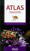 Okładka książki Atlas owadów