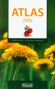 Atlas ziół. Autor: Kosiński Marek, Krzyściak-Kosińska Renata. Dadada.pl Okładka książki Atlas ziół