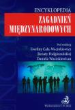 Opakowanie Encyklopedia zagadnień międzynarodowych