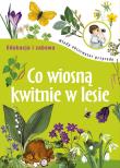 MOP Edukacja i zabawa - Co wiosną kwitnie w lesie. Autor: Głuch Grażyna. Dadada.pl Okładka książki MOP Edukacja i zabawa - Co wiosną kwitnie w lesie
