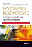 Opakowanie Wyzwania rozwojowe małych i średnich przedsiębiorstw