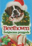Beethoven Świąteczna przygoda. Autor: Steven Altiere, Daniel Altiere. Dadada.pl Okładka książki Beethoven Świąteczna przygoda