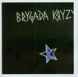 Brygada Kryzys. Autor: Brygada Kryzys. Dadada.pl Okładka książki Brygada Kryzys