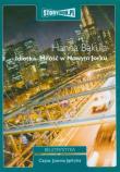 Idiotka Miłość w Nowym Jorku - Audiobook. Autor: Hanna Bakuła. Dadada.pl Okładka książki Idiotka Miłość w Nowym Jorku - Audiobook