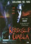 Kręgosłup diabła. Autor: Guillermo del Toro, Antonio Trashorras. Dadada.pl Okładka książki Kręgosłup diabła