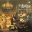 Schubert: Impromptus. Autor: Martijn van den Hock. Dadada.pl Okładka książki Schubert: Impromptus