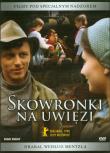 Skowronki na uwięzi. Autor: Jiri Menzel, Hrabal Bohumil. Dadada.pl Okładka książki Skowronki na uwięzi
