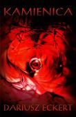 Okładka książki Kamienica