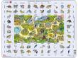 Opakowanie Nauka angielskiego puzzle 5