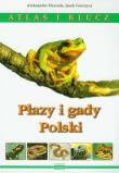 Płazy i gady Polski Atlas i klucz. Autor: Herczek Aleksander, Gorczyca Jacek. Dadada.pl Okładka książki Płazy i gady Polski Atlas i klucz