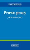 Prawo pracy. Autor: Rycak Artur, Rycak Magdalena Barbara, Zieleniecki Marcin, Stelina Jakub. Dadada.pl Okładka książki Prawo pracy
