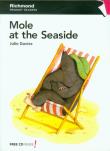 Primary Readers 1 Mole at the Seaside. Autor: Davies Julie. Dadada.pl Okładka książki Primary Readers 1 Mole at the Seaside